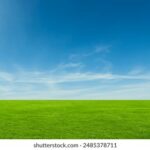 118免费开奖最新结果实时更新 80o3e6zh