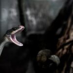 246天天开奖,惊喜不间断,幸运等你来揭晓! qbvvl50trt