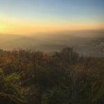 11选5前三组最新开奖结果与历史数据分析 v0kvwo