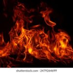 11月9日3D开奖结果正式公布,最新中奖号码揭晓 v0s17