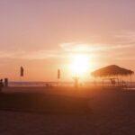 114开奖现记录最新查询与历史数据完整汇总 wirtbe