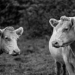 11月17日开奖结果揭晓,幸运号码正式公布 zq1t4zddv